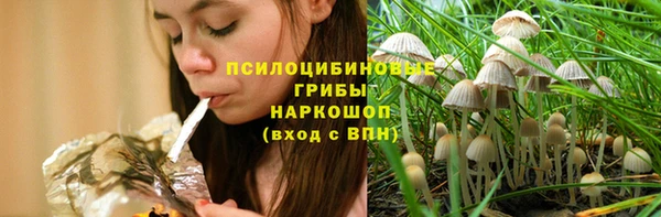 mdpv Гусь-Хрустальный