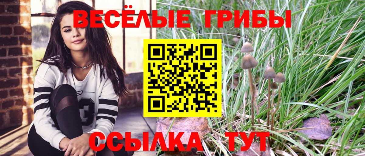 Галлюциногенные грибы ЛСД  Вход с VPN  Галлюциногенные грибы прущие грибы  Елизово 